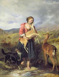 The Pet Fawn, 1860